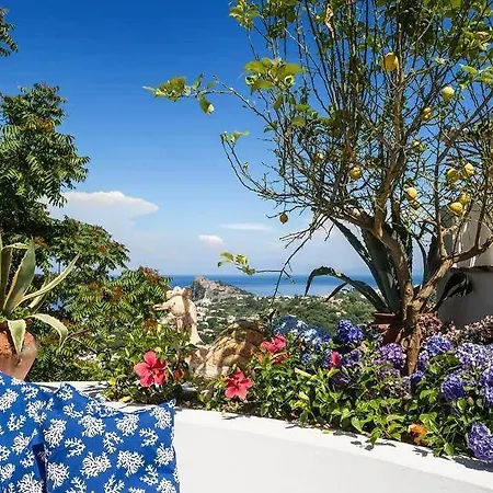 住宿加早餐酒店 伊斯基亚瑞莱斯比约克斯住宿加早餐旅馆 4*