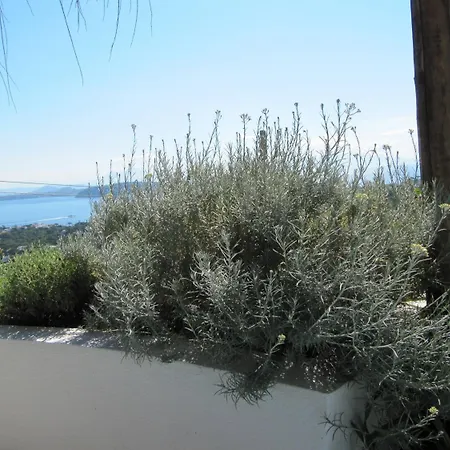 住宿加早餐酒店 伊斯基亚瑞莱斯比约克斯住宿加早餐旅馆 4*